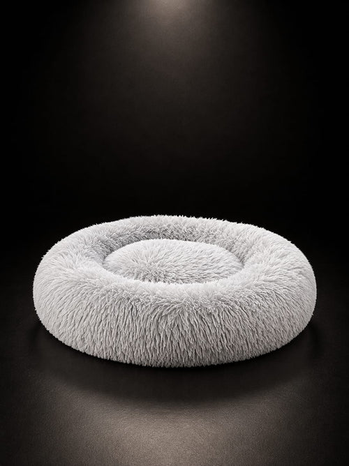 cama premiu