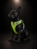 Pechera Ajustable Reflectiva para Perros | Arnés Acolchado de Seguridad  | SPOTMASCOTAS