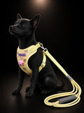 Pechera con Correa para Perros y Gatos | Arnés Ajustable con Cascabel | SPOTMASCOTAS