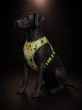 Pechera Estampada Ajustable para Perros | Arnés Acolchado con Diseño Animal  | SPOTMASCOTAS