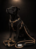 Set de Arnés Ajustable con Correa para Perros | Pechera Premium Reforzada | SPOTMASCOTAS