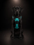 Pechera Premium Reflectiva con Luz LED para Perros | Arnés Ajustable de Seguridad | Talla M | SPOTMASCOTAS