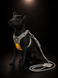 Pechera con Correa para Perros | Arnés Ajustable con Mango de Control | SPOTMASCOTAS