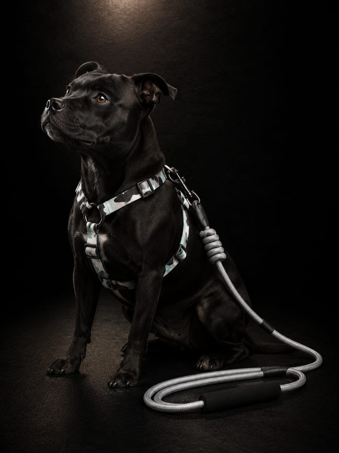 Set de Arnés Ajustable Camuflado con Correa para Perros | Pechera Táctica Premium | SPOTMASCOTAS