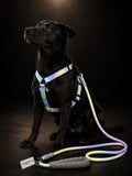 Set de Arnés Ajustable con Correa para Perros | Pechera Reflectiva Premium | SPOTMASCOTAS